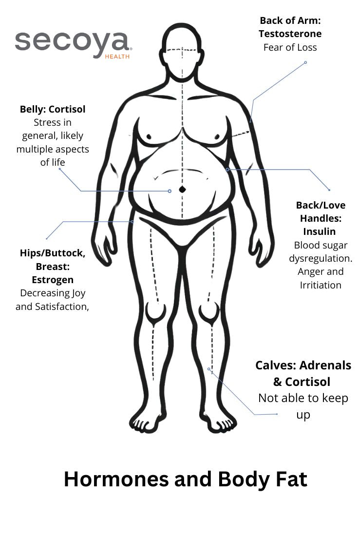 Harmonize Your Hormones Guide