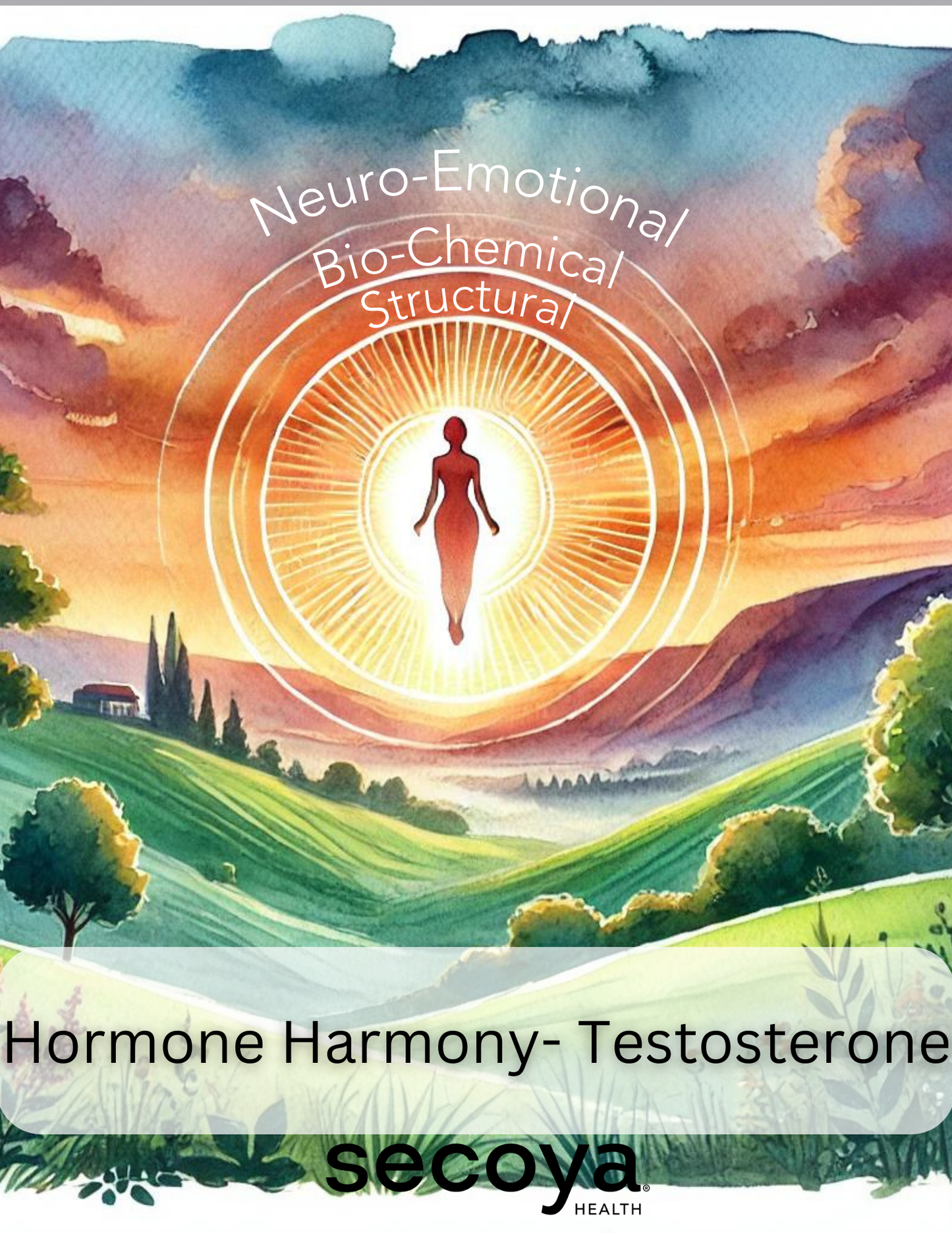 Testosterone Guide