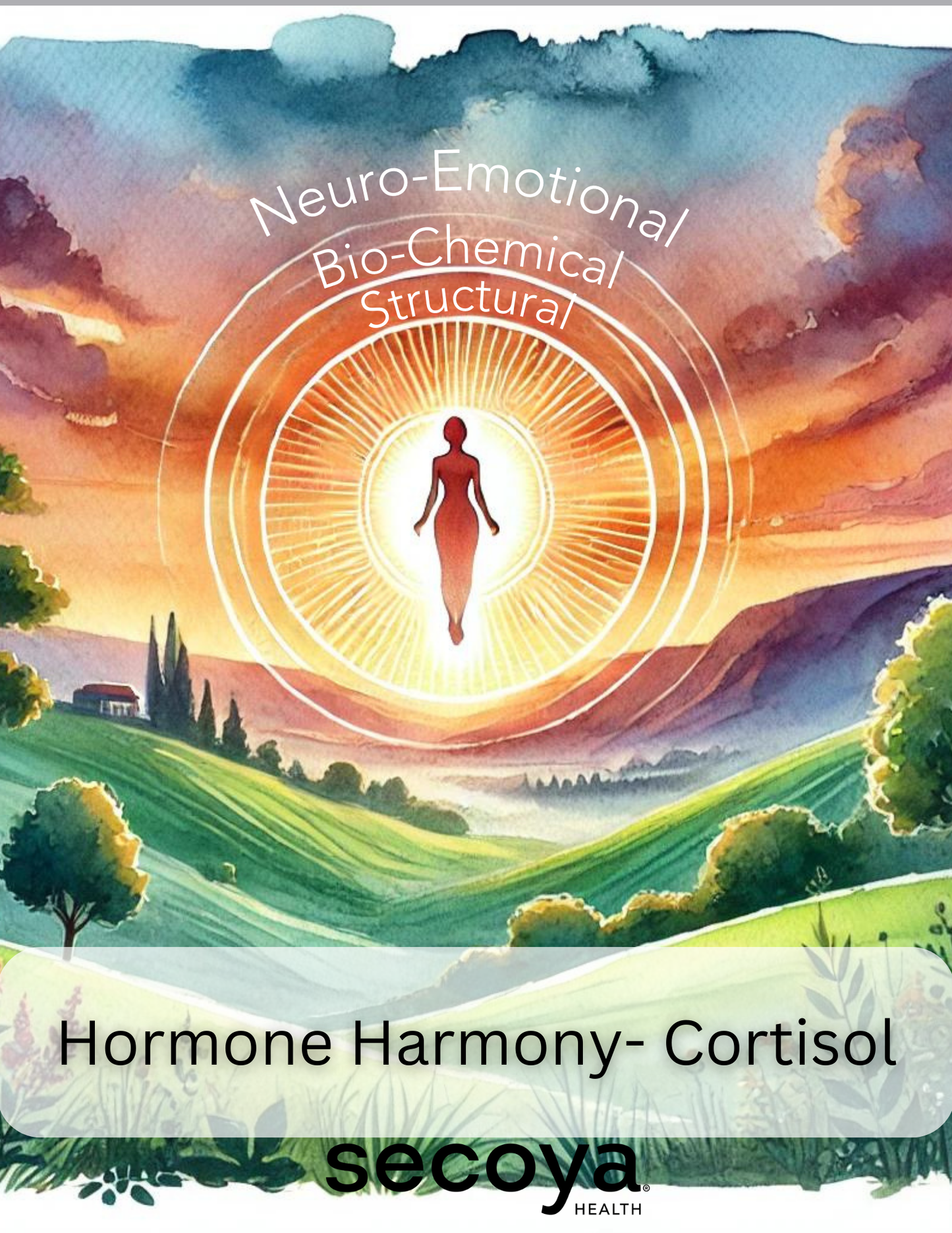 Cortisol Guide